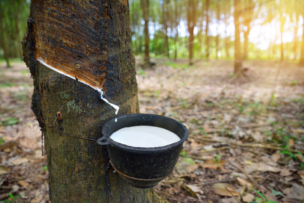 agrinda-natural-rubber-ottupaal
